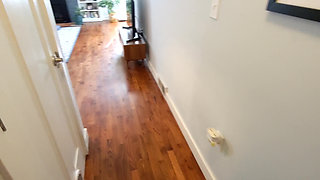 Sex Tape 37 - Fucking While on the Phone