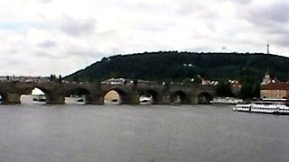 Amateur wild chick solo masturbation