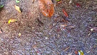 Blonde Amateur Takes Facial Outdoors In Public