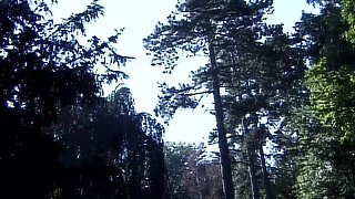 Sandra Kay's Wild Group Passion in Stunning Clarity