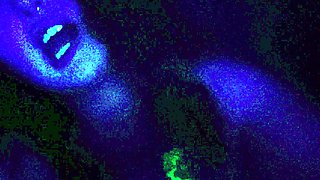 Slutty amateur flashing her big boobs in the backseat