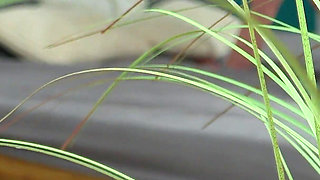 Stepdad Uses Her Anal