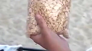 Beach Seller in a Salty Package Eats the Two Hot Girls in Exchange Left Happy