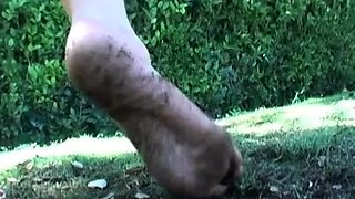 POV Humiliation - My Dirty Feet!!! - Carli Banks