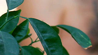 Chubby Wife Rides Cock with Her Big Ass.