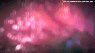 B013 Slave Made Into Women's Underwear