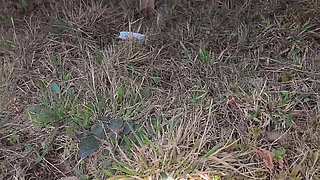 Pee on the Ground Near Truck Wheel