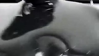 Amateur fetish couples tape