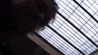 Lovers... Primedonne