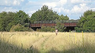 In An English Meadow And Flashing On The Train