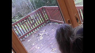 Lesbian Punishment for the Demure