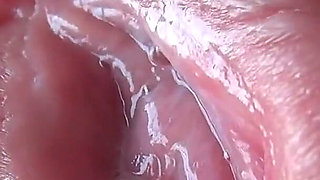 Close-up of a Plump Pussy