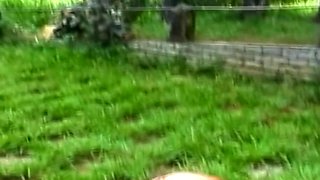 Fucking Bi And Lovin It 1 Double Desire