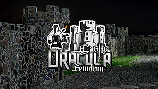 Old slave arrived to DFC - Slapped in the car