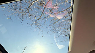 Yummy Jimmy and Slutty Kitty Get Horny in the Car and Start to Fuck