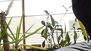 Peeing on a Potted Plant