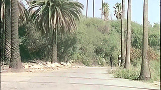 This Vintage Slut Takes a Nice Black Cock Under the Los Angeles Sky
