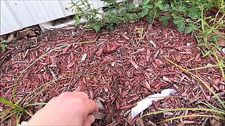 Hot Step Mom Makes You Get a Job - Brianna Beach - Mom Comes First