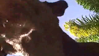 Sexxy Brandon: Pool Fun: Part 3