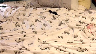 ass eating and oil fun and games