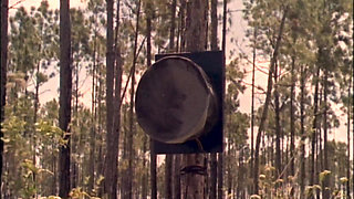 Diary of a Nudist (1961) - Restored & Remastered in 4K