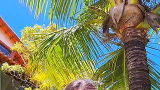 Wet tattooed raven babe Sahron with big boobs masturbates