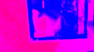 I love my neighbor me by my ass