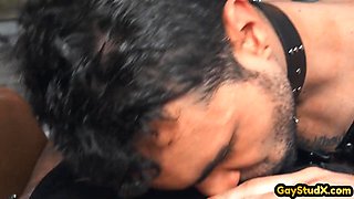 Lucky gay fucks perverted stud in ass in missionary