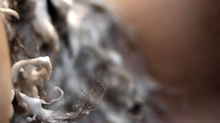 Amateur teen party babes nailed together and they love it