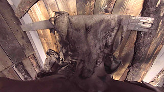 X Virtual 19 the Monster From the Woods 180°