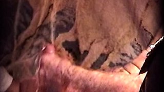 DARBY SUCKING MY FAT ENGORGED COCK