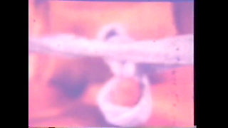 Eric Edwards Wild Fucker