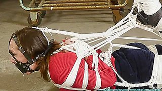 Hottest Sex Clip Gags Exotic , Check It