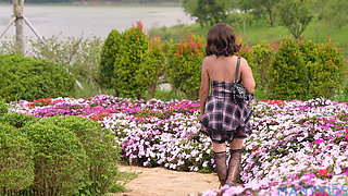 Wet Pleasure in the Hydrangea Garden 4K