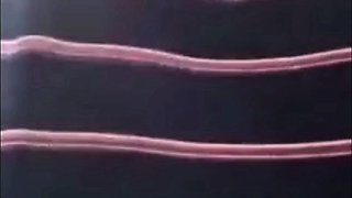 Philippines Big Aunty