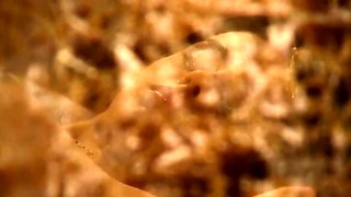 Kuchipudi Dance Leads to Passion