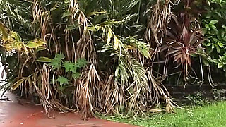 Skylar Vox and Kinsley Kane Swap Stepbrothers After Giving Them a Glow up