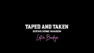 Taped & Taken Sofia's