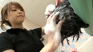 Crazy Japanese chick Akiho Yoshizawa in Fabulous fetish, bathroom JAV clip