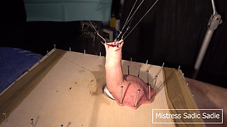 Hardcore CBT with Fishhooks and Needles Part One