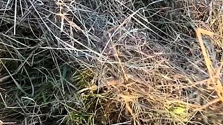 Gea Domina - Pov Working In Geas Villa