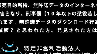 46 Small-breasted Beauty Catalog