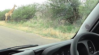 My BLACK GIRLFRIEND acted innocent