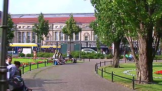 Brunette Amateur Sucks Stranger In Public Cash Stunt