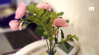 187-wgeedhy-ouhsgy-one-imk