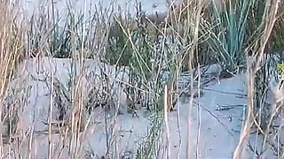 Couple Caught on Camera Having Sex on the Beach