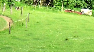 Public Nature Fuck With Big-Tit Brunette Near Biker Road