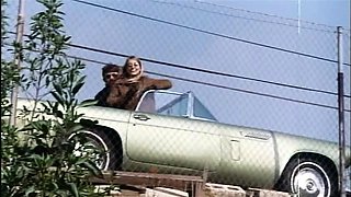 Hot outdoor pussy licking action
