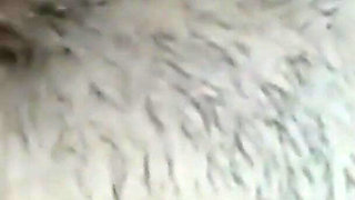 Persian Girl Anal Fuck