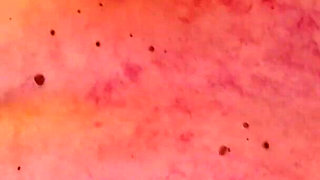 Aftermath Compilation